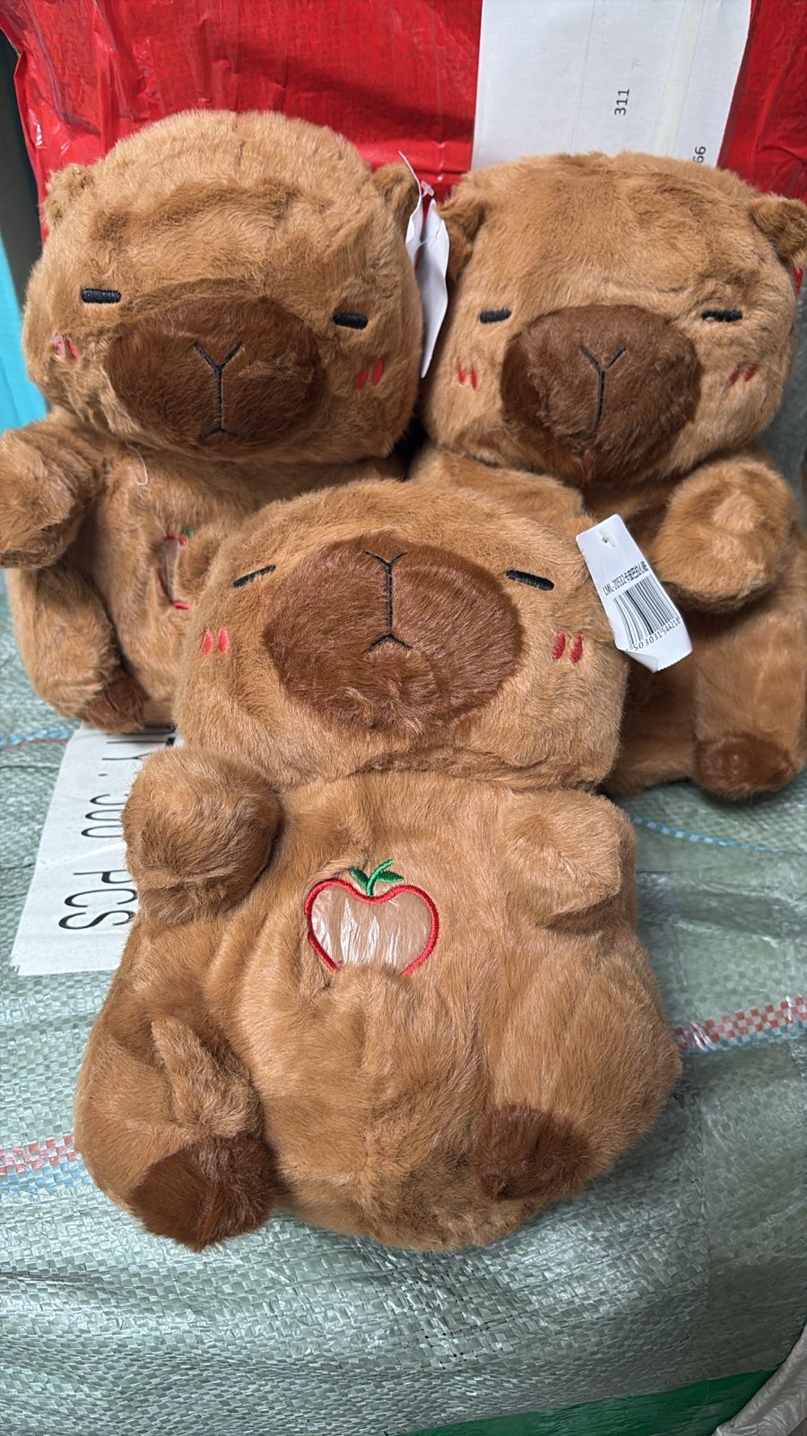 Capibara que respira